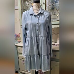Denim Snap Front Babydoll Dress